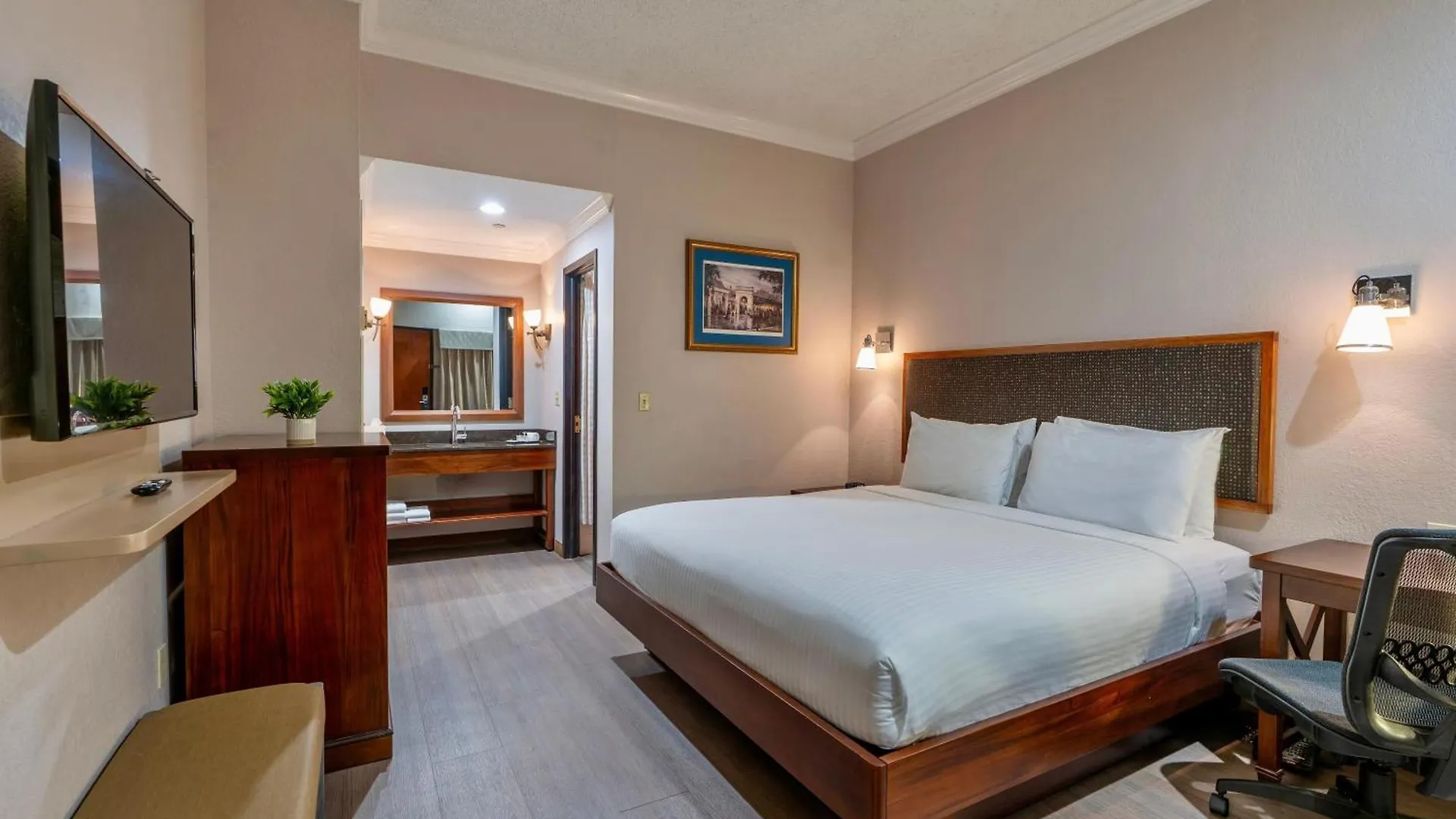 12 Design Hotels in Downtown New Orleans That Stand Out