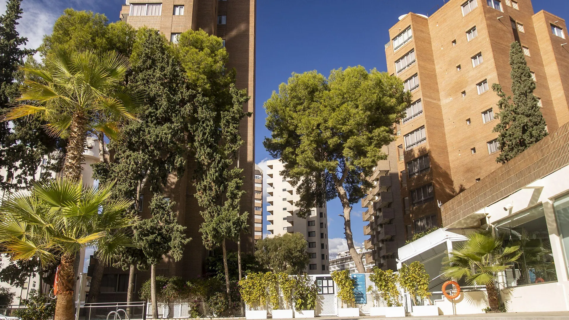 8 Family Hotels in Levante Beach That Deliver on the Beach Promise