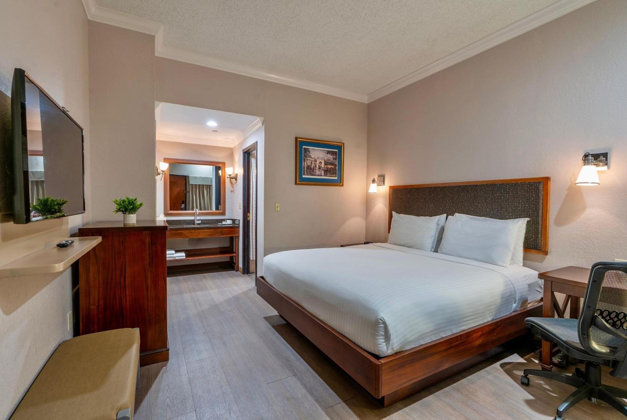 12 Design Hotels in Downtown New Orleans That Stand Out